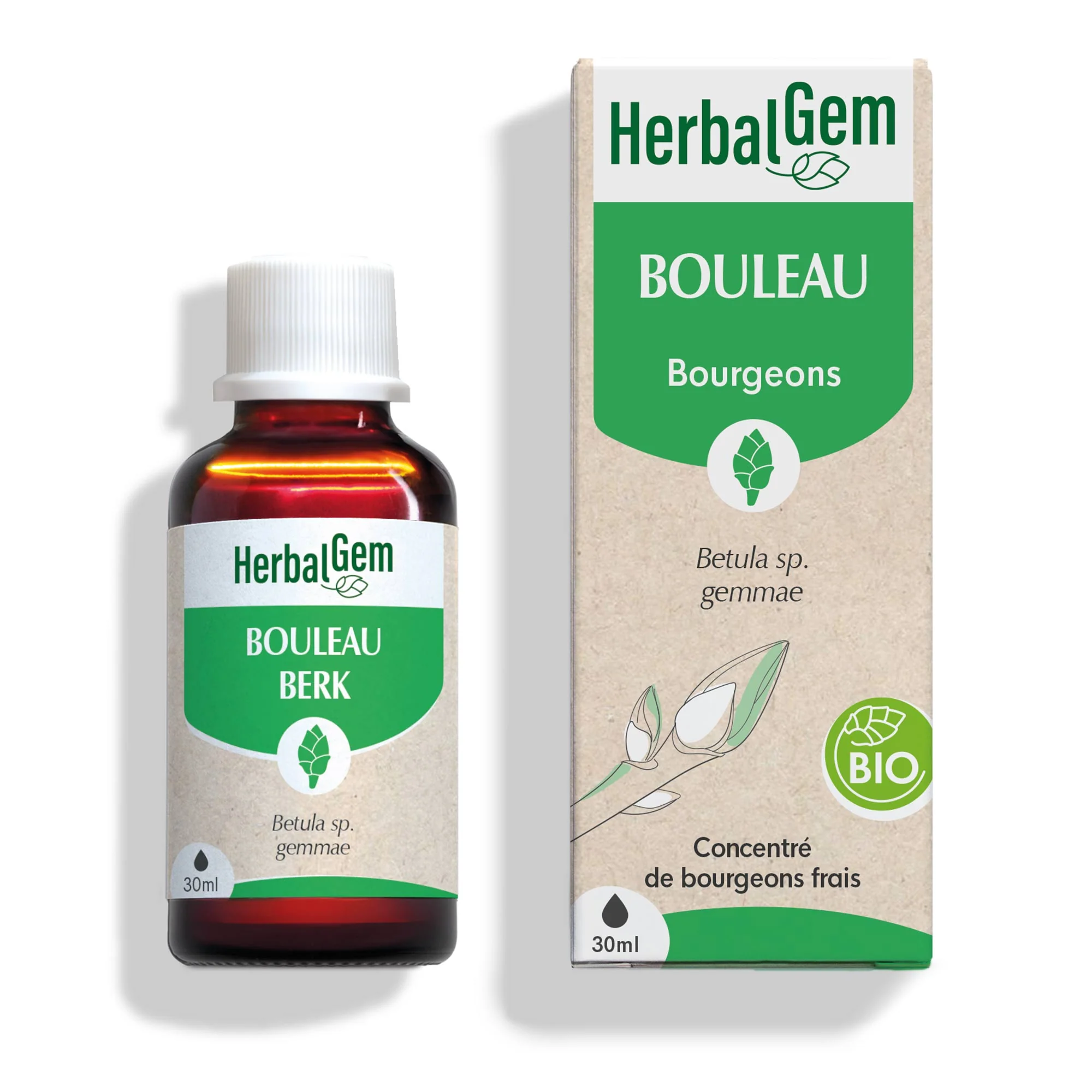 Bourgeon de Bouleau - Bio