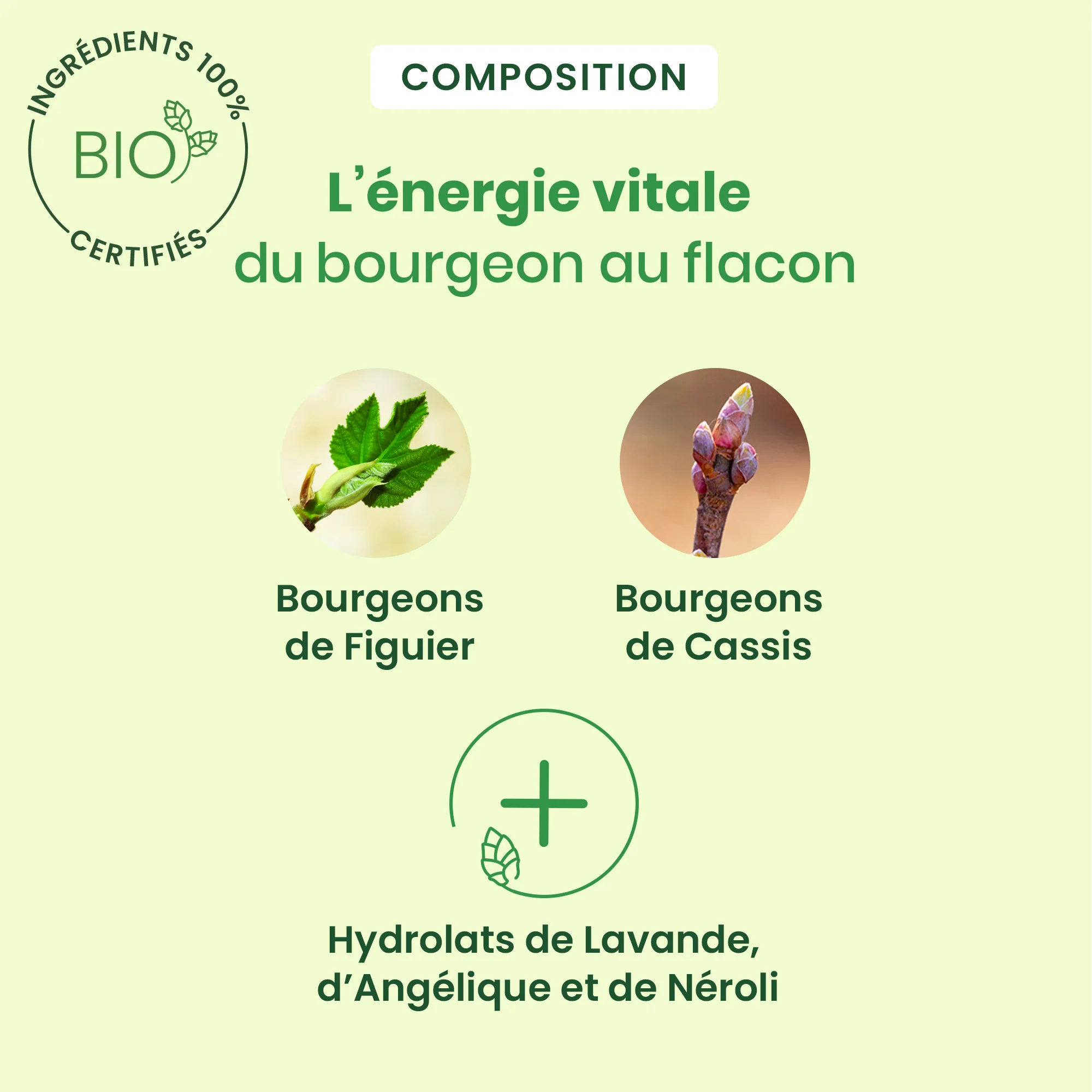 Calmigem spray - Bio - Image 3