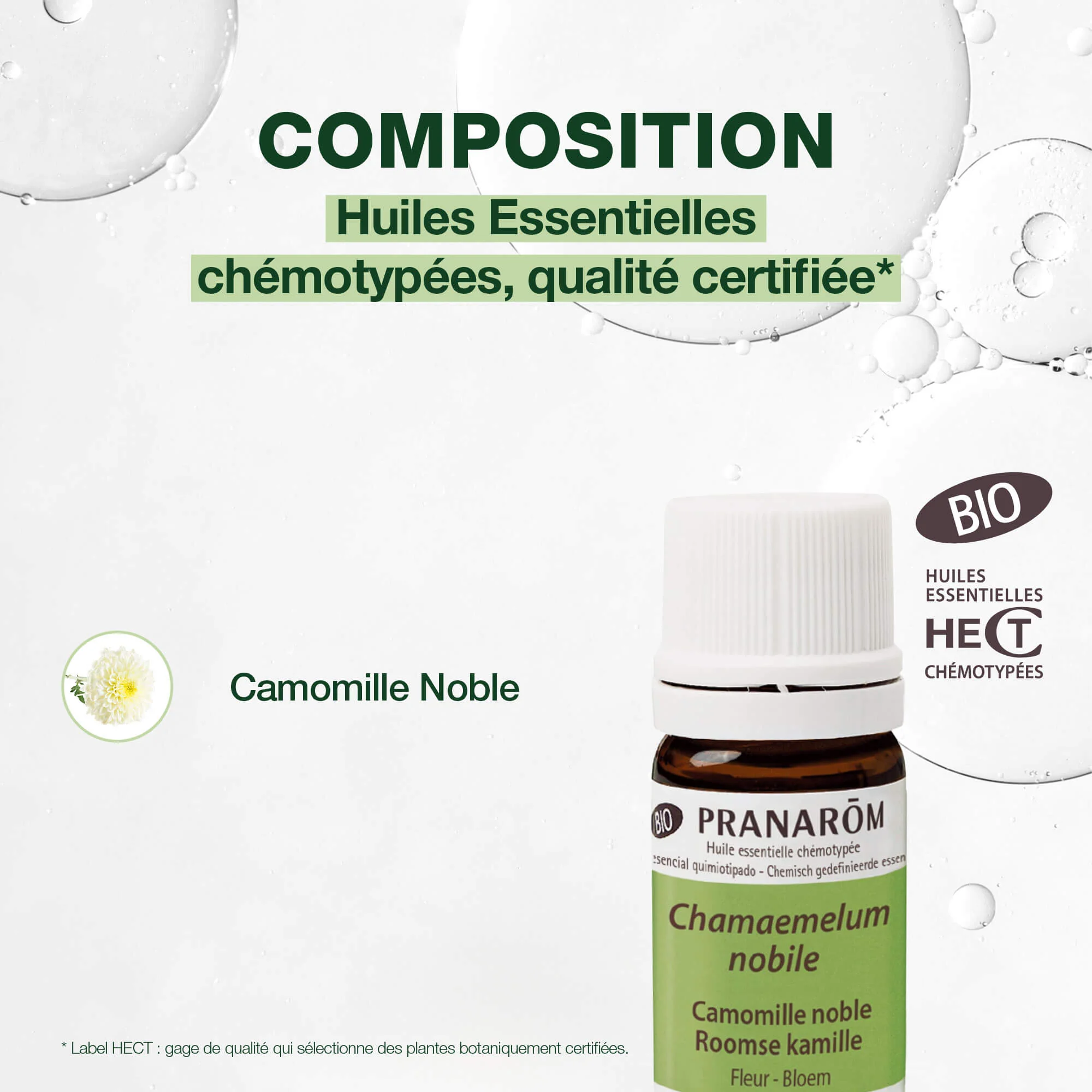 Huile Essentielle de Camomille noble - Bio - Image 3