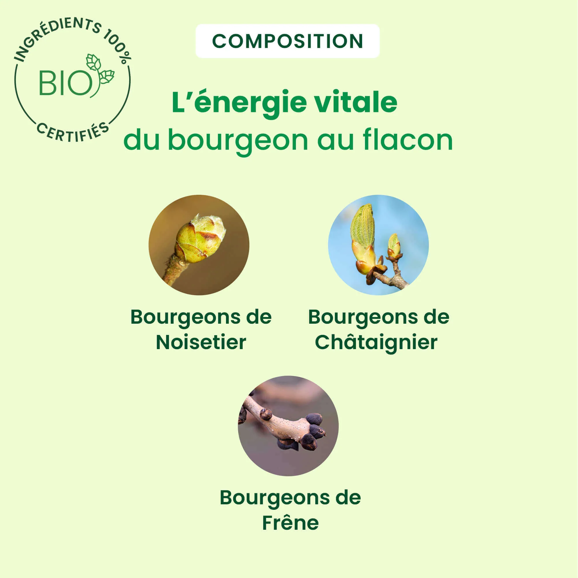 Celluligem - complexe ligne - Bio - Image 4