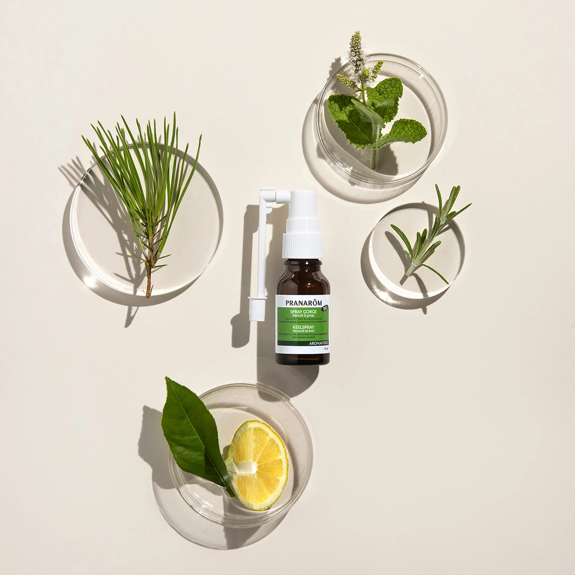 Duo pack gorge apaisée : spray gorge + Oleobiotic® santé respiratoire - Image 2