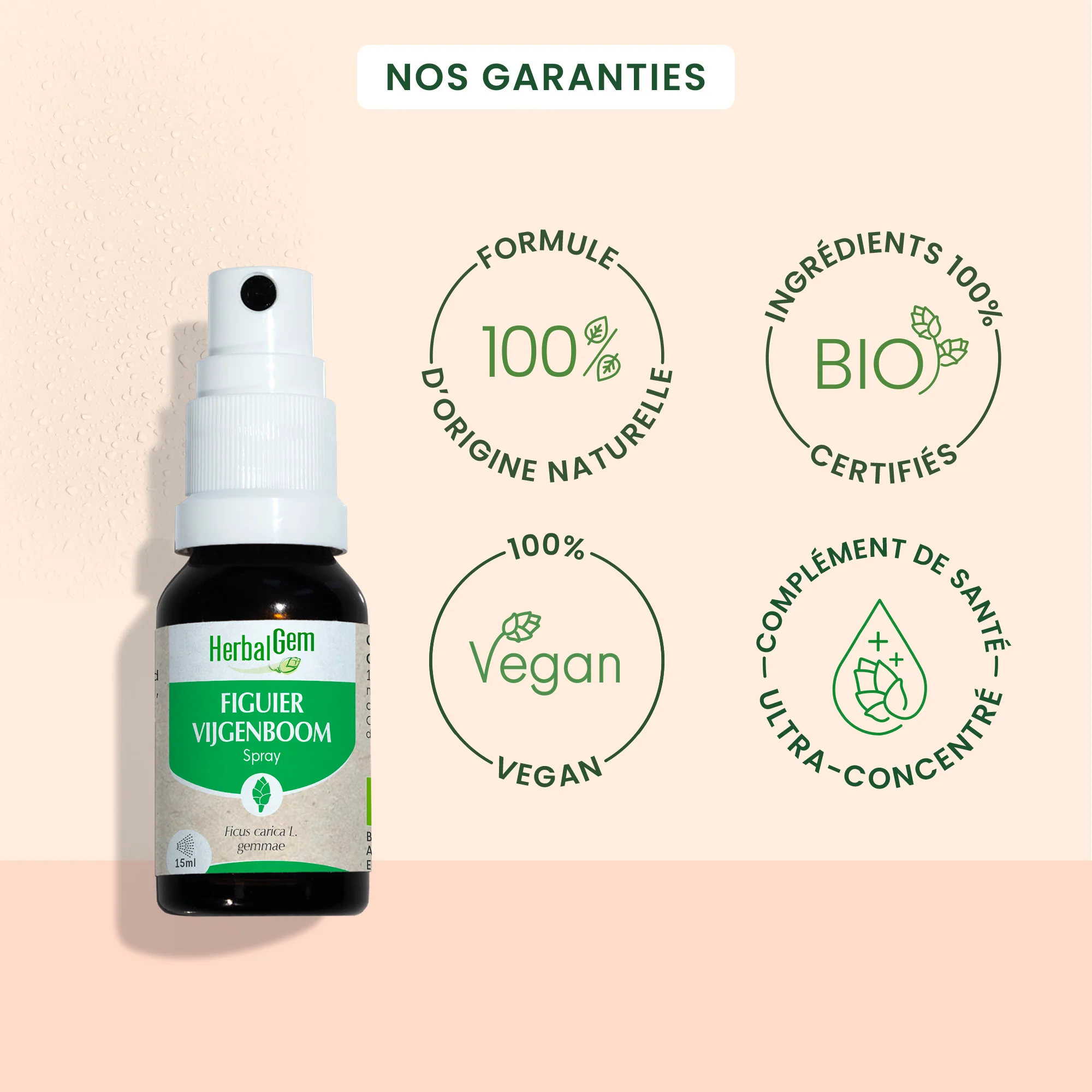 Bourgeon de Figuier - spray - Bio - Image 2