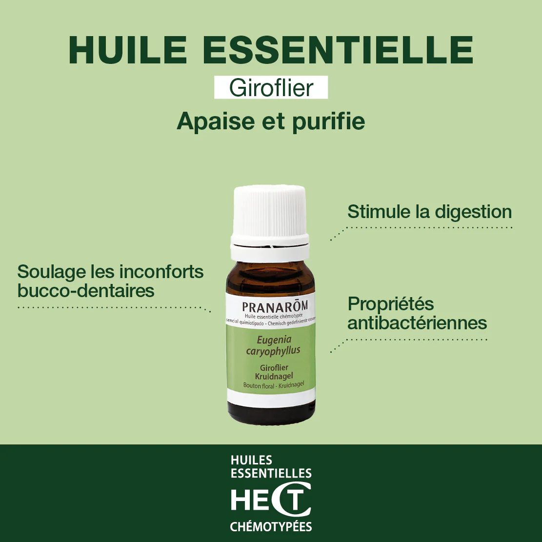 Huile Essentielle de Giroflier - Image 2