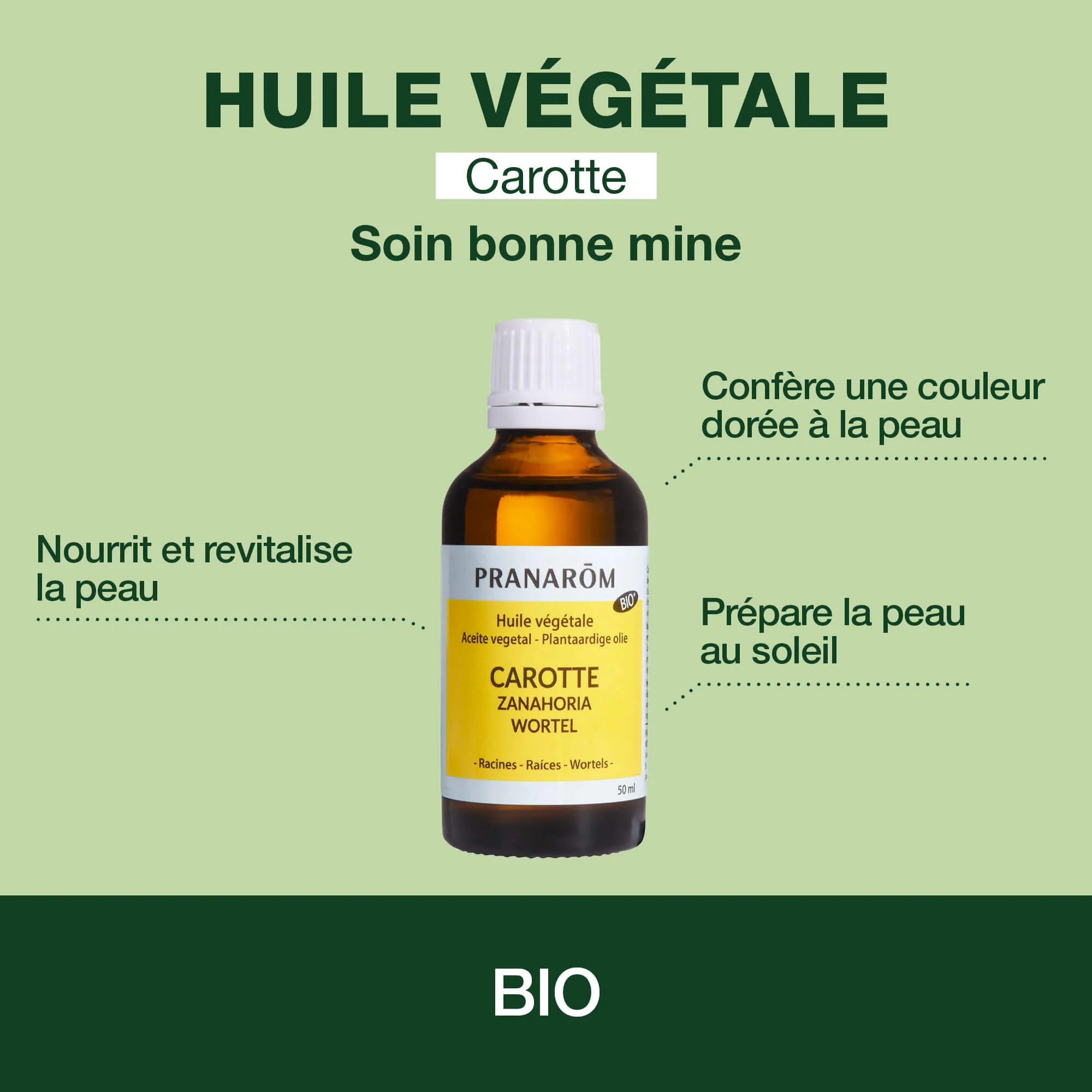 Huile Végétale de Carotte - Bio - Image 2