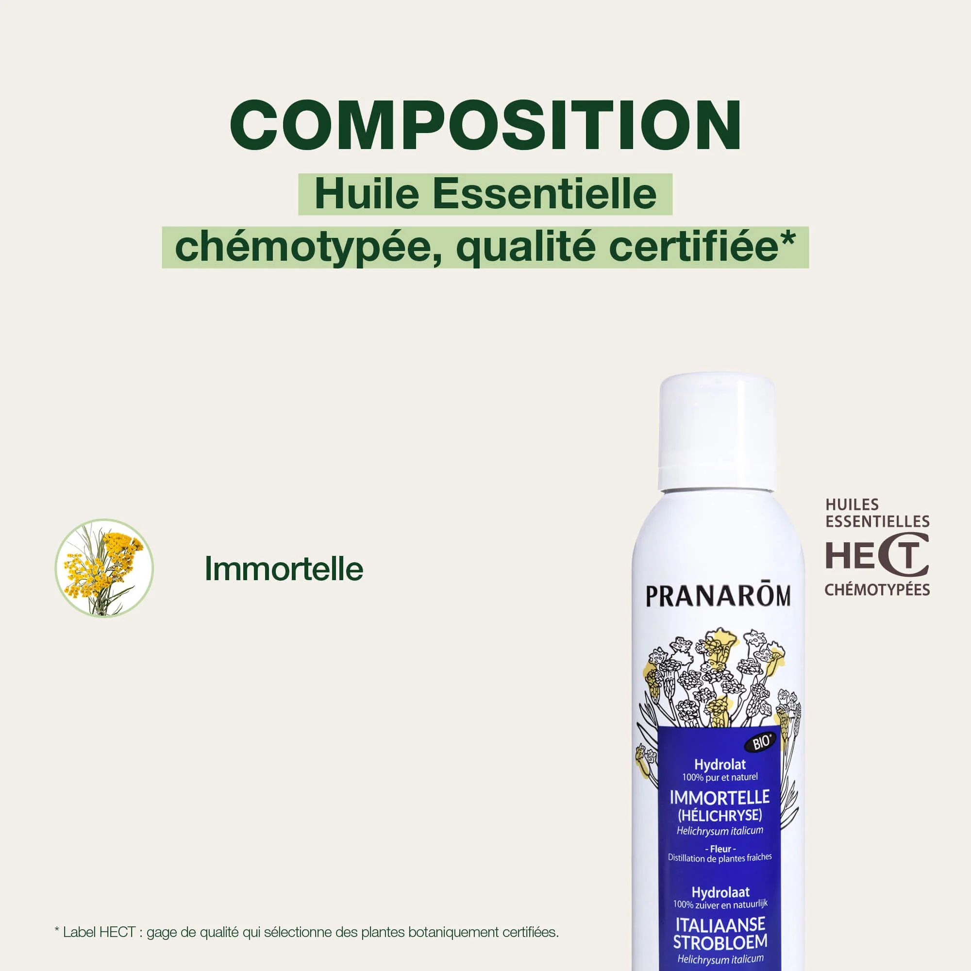 Eau florale d'Immortelle (Hélichryse) - Bio - Image 4