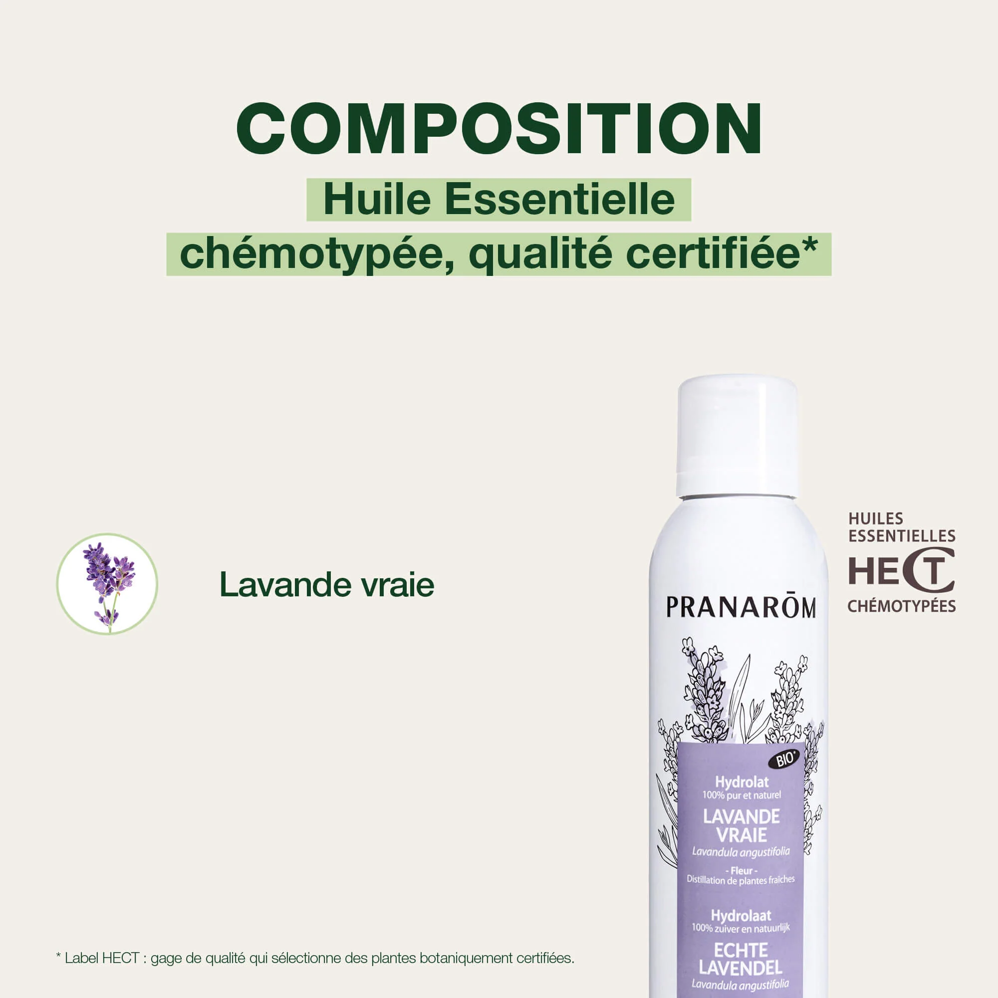 EAU FLORALE de Lavande Vraie - Bio - Image 4