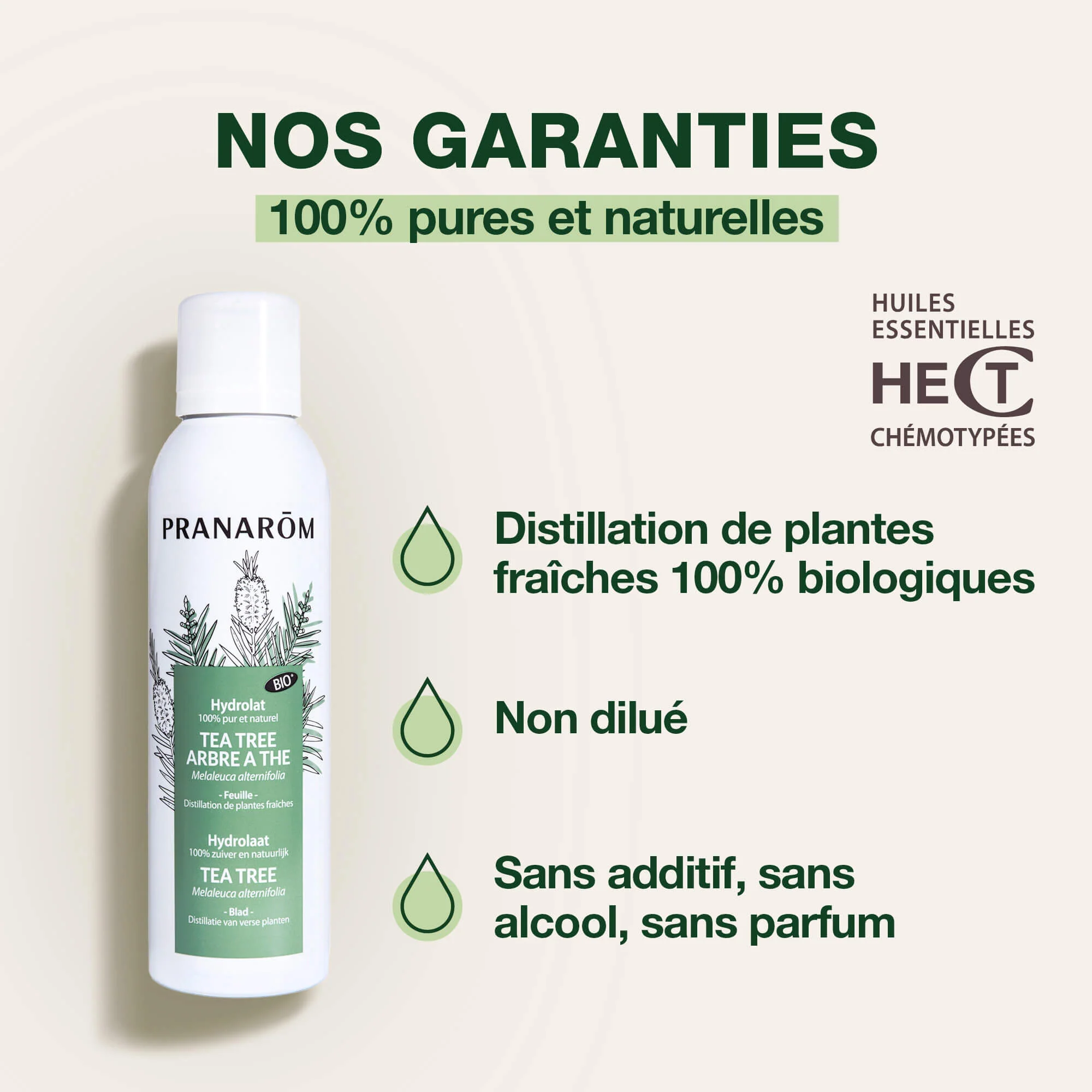 Eau florale de Tea-tree - Bio - Image 3