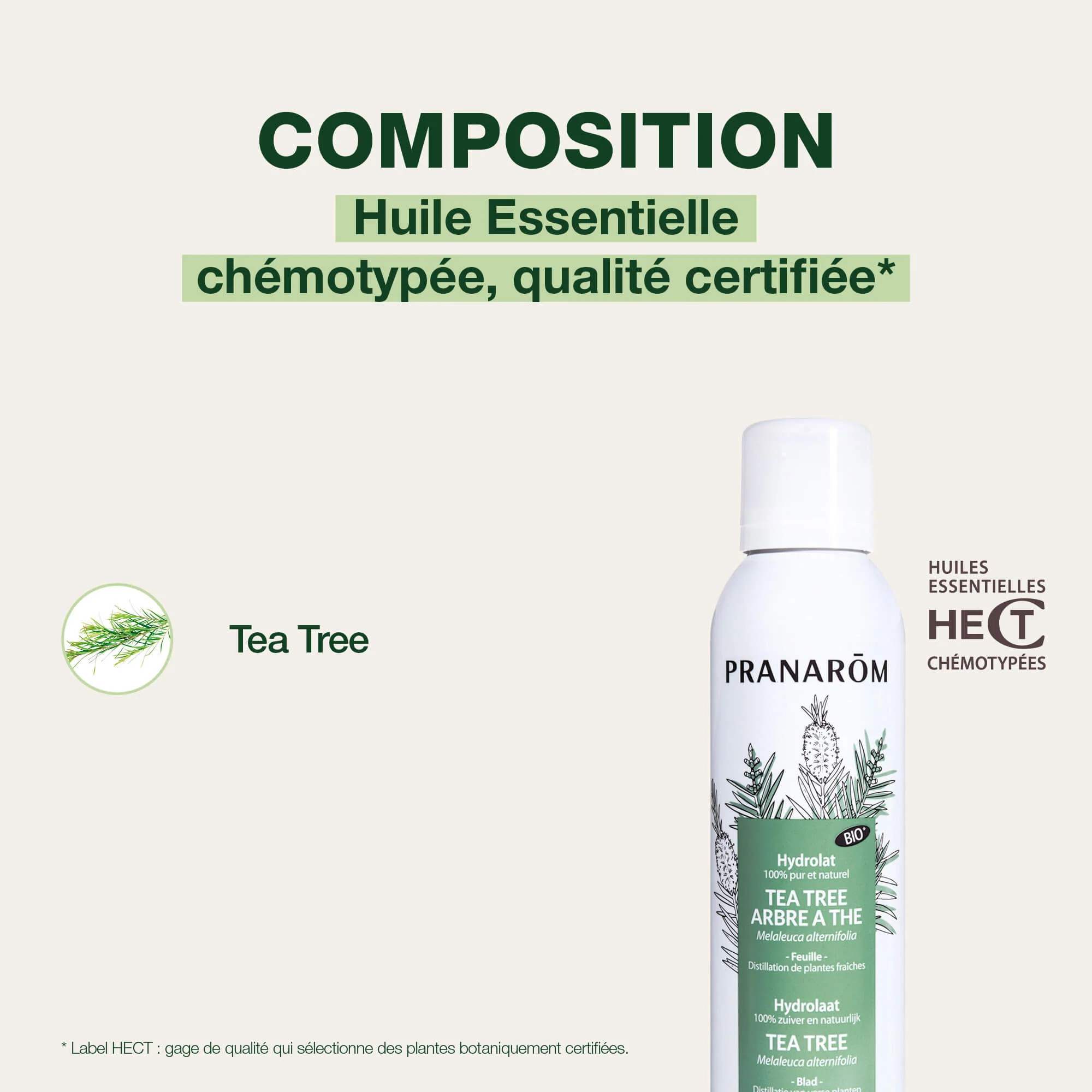Eau florale de Tea-tree - Bio - Image 4
